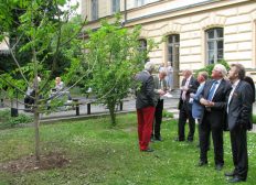 2012-06-14-Avtack03